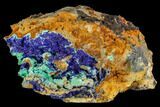 Malachite and Druzy Azurite Crystal Association - Utah #109837-1